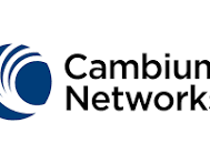 Cambium